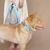 Blue pet dog collar